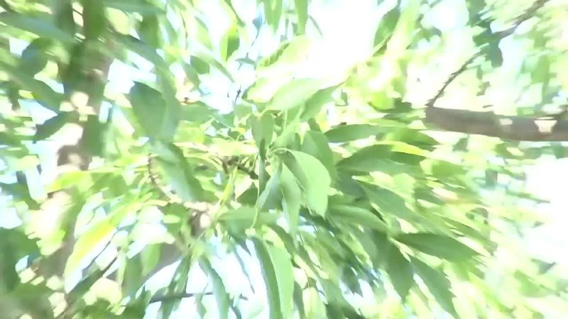 Gianna michaels and carmella bing