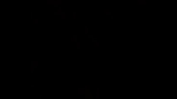 Io e le mie cronache sessuali