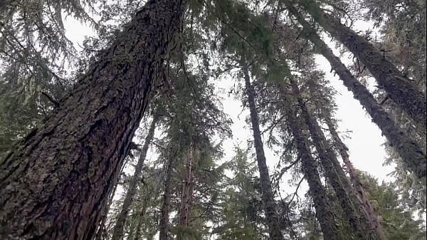 La caccia al coniglio delle nevi del Monte Hoodrat